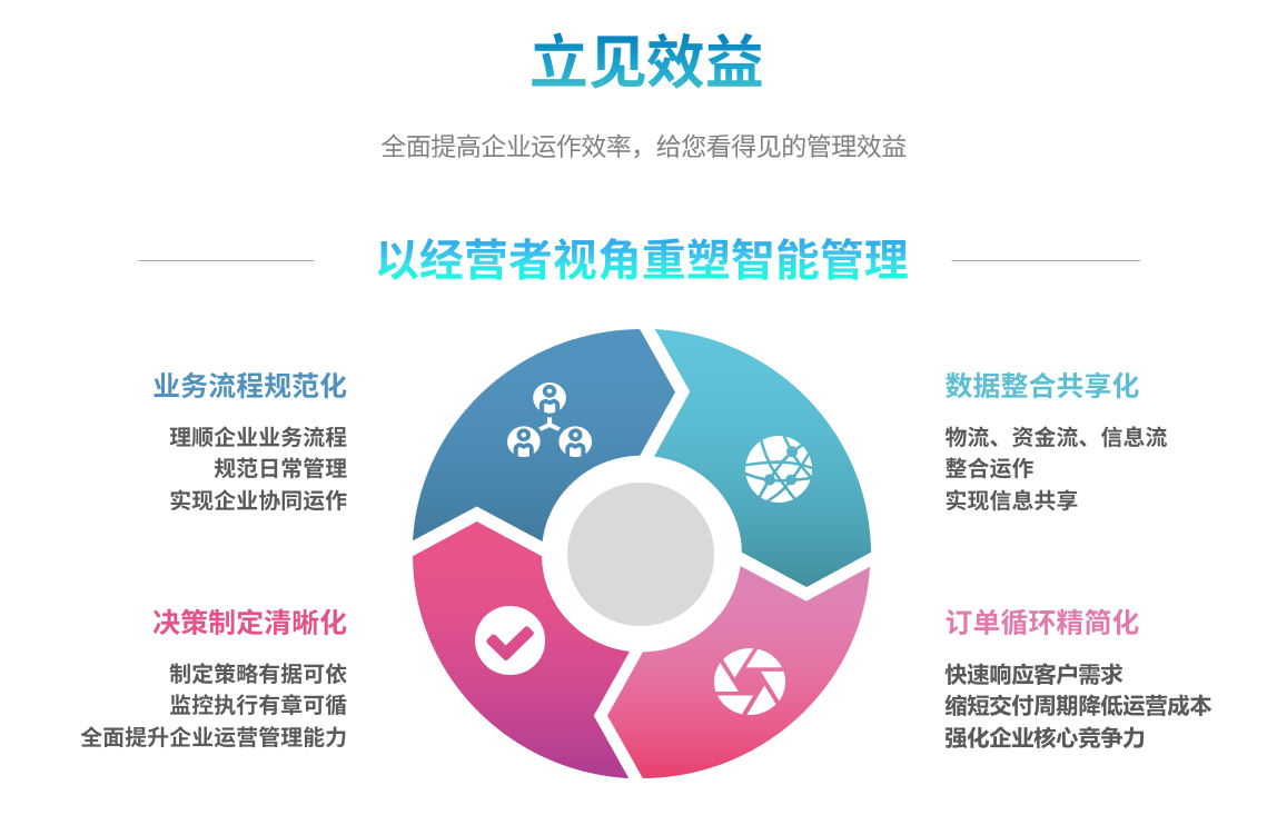 ERP系统在软件开发管理领域中有哪些应用?